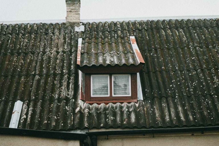 Professional Roof Leak Inspection