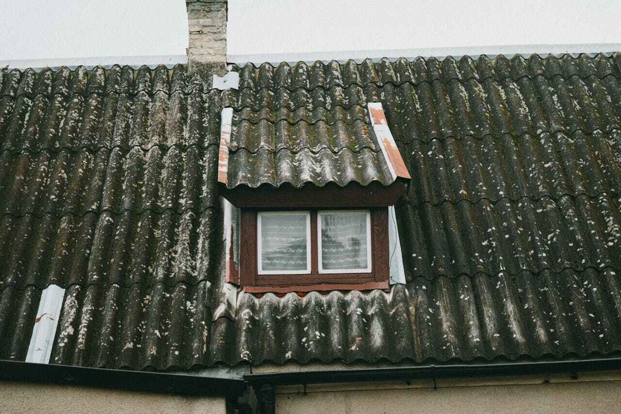 Professional Roof Leak Inspection