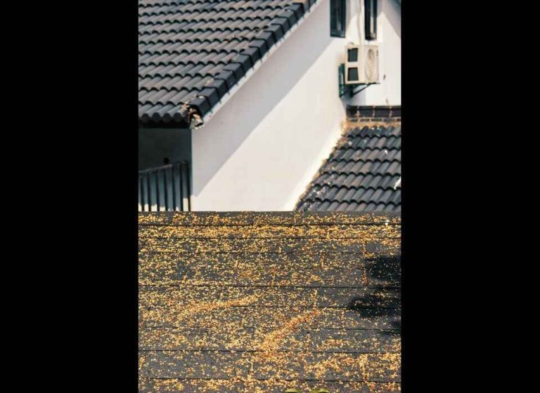 Types of Roof Damage Can Be Fixed Without Full Replacement